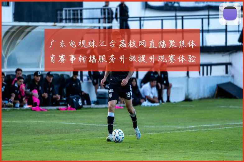 广东电视珠江台荔枝网直播聚焦体育赛事转播服务升级提升观赛体验