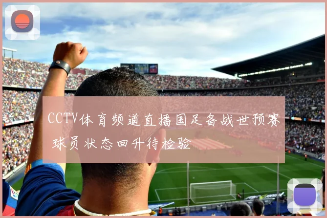 CCTV体育频道直播国足备战世预赛 球员状态回升待检验